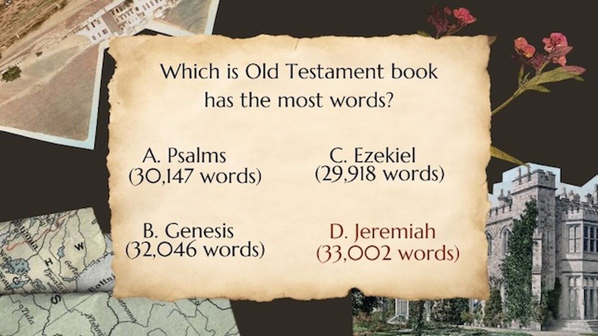 Bible Buff Old Testament Vol. 2 image number null